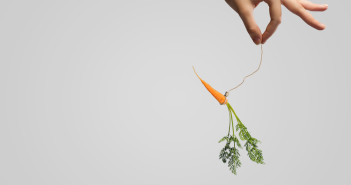 Close up of hand holding stick with carrot dangling on rope