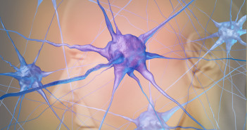 Human neuron cells in the brain as a medical symbol representing psychology and the science of neurology research in finding treatment for mental health diseases as alzheimer dementia and autism.