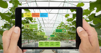 Smart agriculture concept, Agronomist or farmer use Artificial intelligence and augmented reality in farm ing