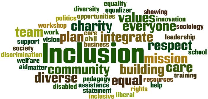 Inclusion, word cloud concept on white background.